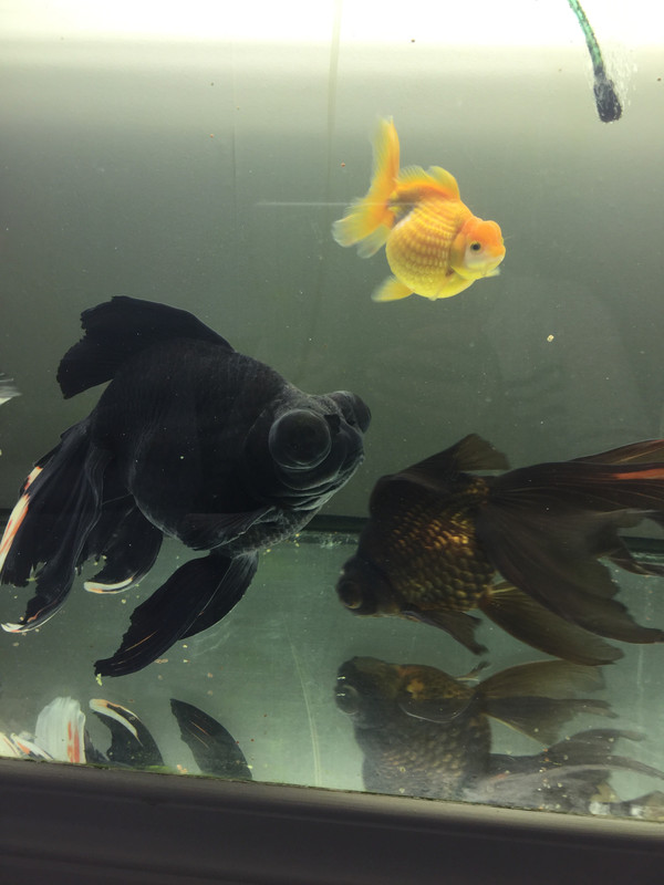 A2F1CE98-F6E7-4A6B-9243-DE48F8DA5D0D