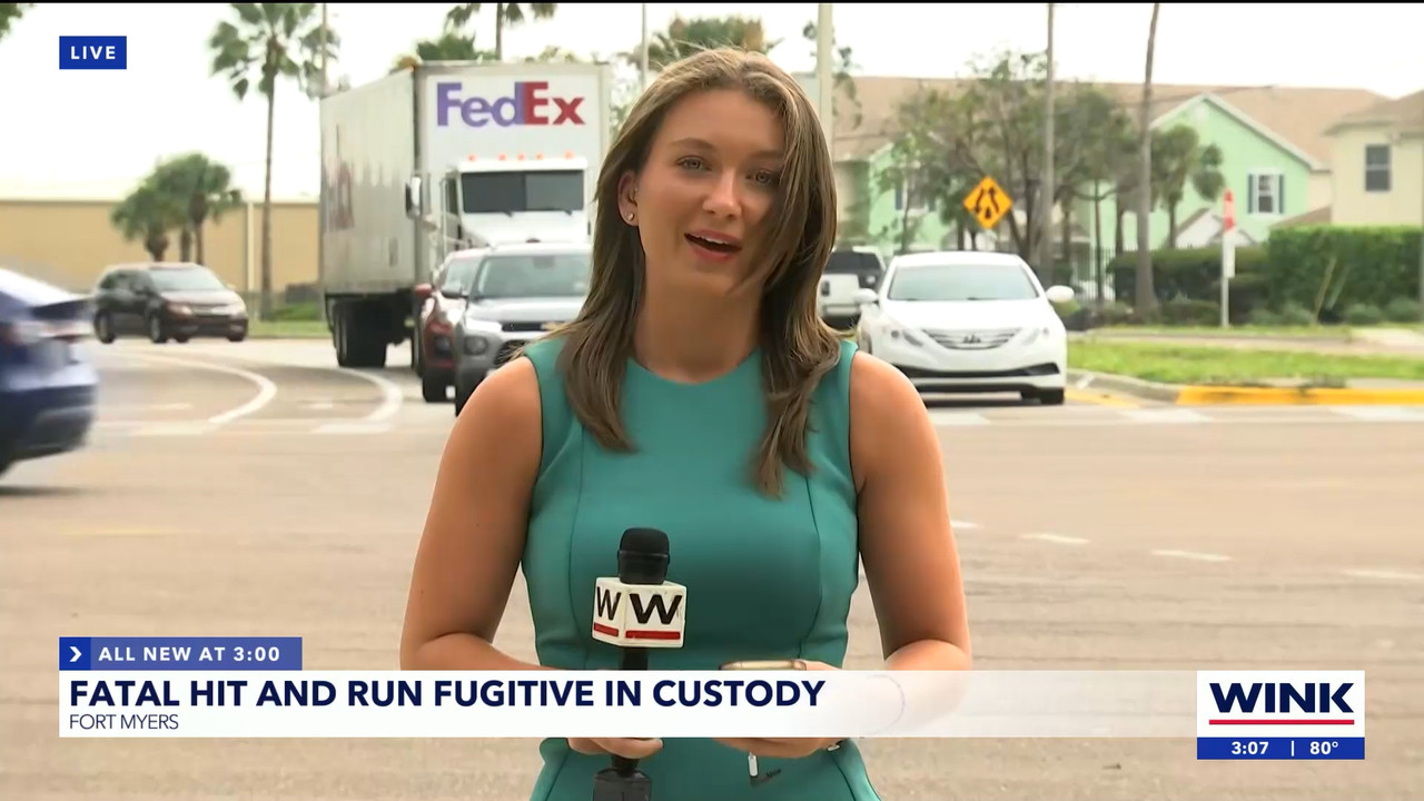 04.11 - 20.00.01 - WINK News at 3pm  ᴺᵉʷ..ts_snapshot_00.14.00.602