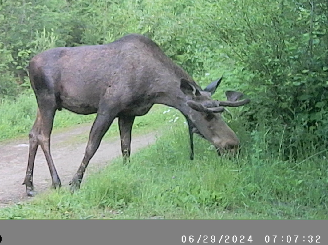 D754420C-00D2-4E81-A94F-06CF1EC8CA20