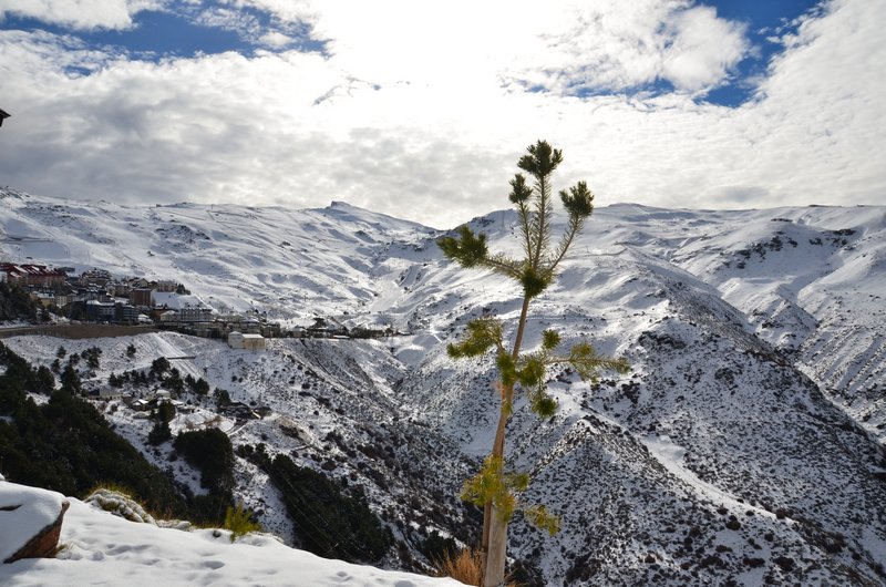 SIERRA NEVADA-15-1-2014-GRANADA - Paseando por España-1991/2017 (17)