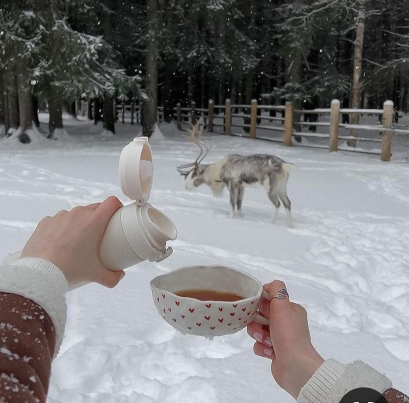 Screenshot_20231211_190438_Pinterest