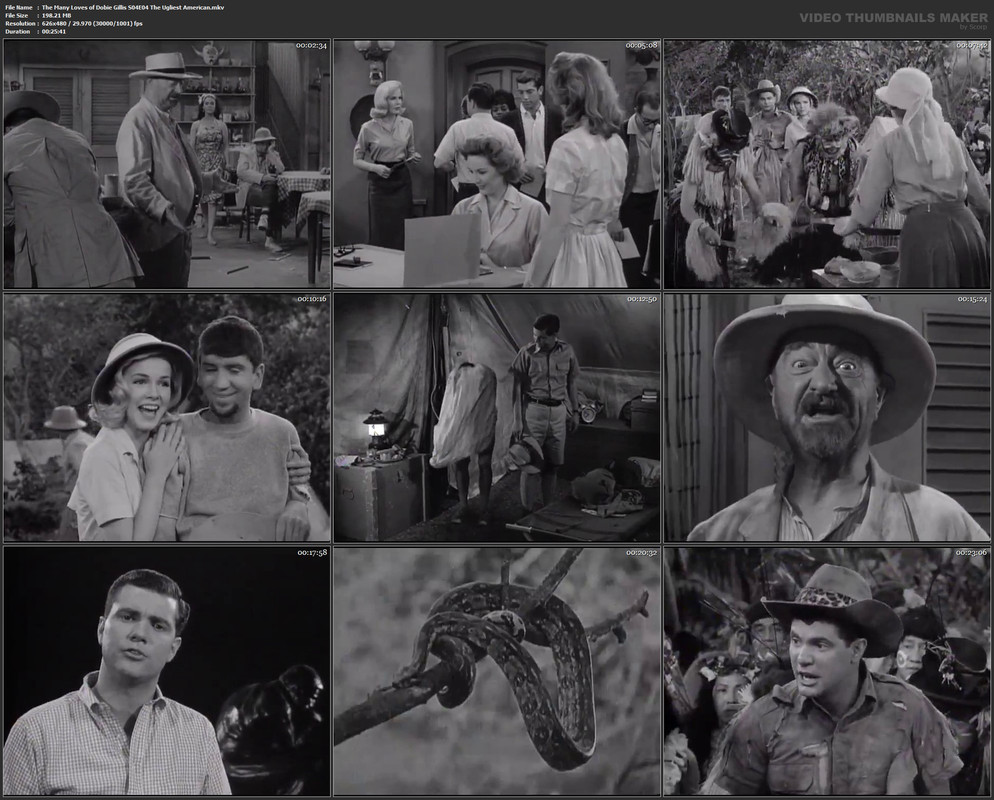 The Many Loves of Dobie Gillis S04E04 The Ugliest American.mkv