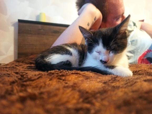 12DFC0AB-B9B6-4629-AA58-A1025FCBB7B4