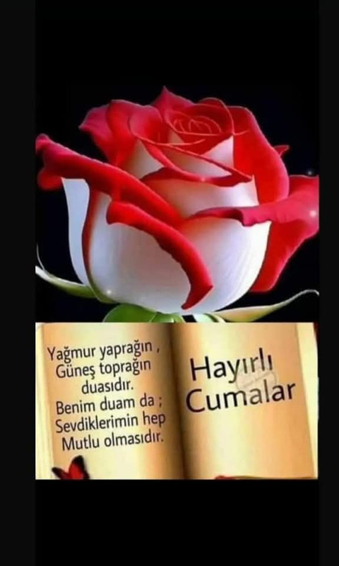 IMG 20251211 WA0016