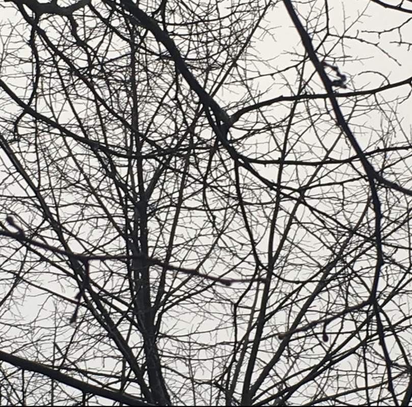 AC4953F6-E818-4B32-8146-C8FD116311FD