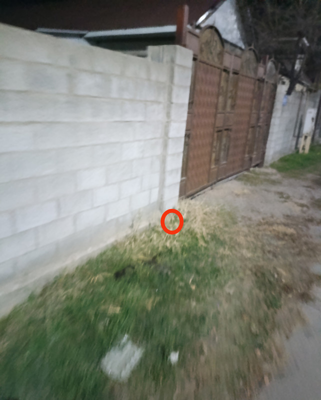 IMG 20251129 064305