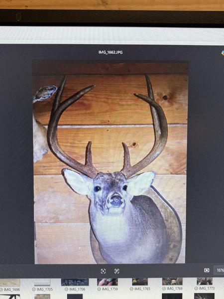 [Linked Image from i.postimg.cc]