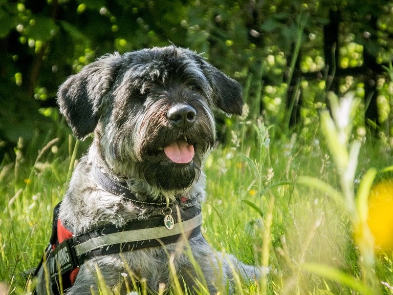 2B3B0543-B931-4530-B169-AFF3D00F9411