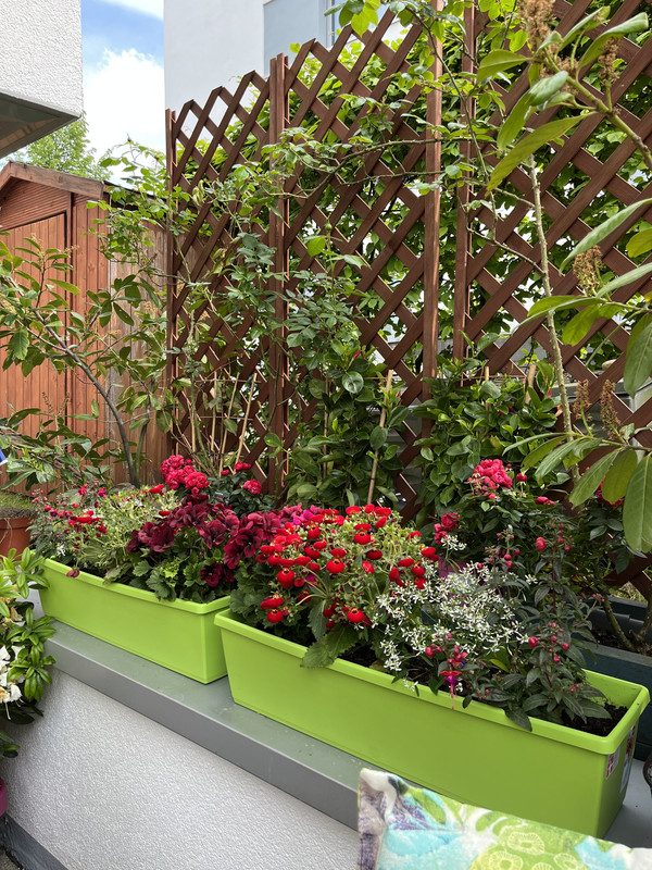 1C861114-6F18-42A7-8113-70C5DD314F5F