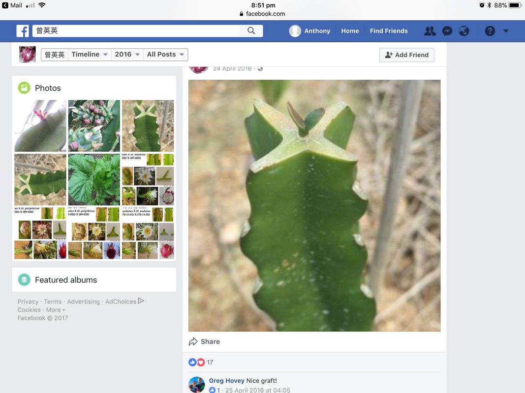 A783B738-49AE-4FD4-AC02-EA74FFED28CE