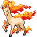rapidash.gif