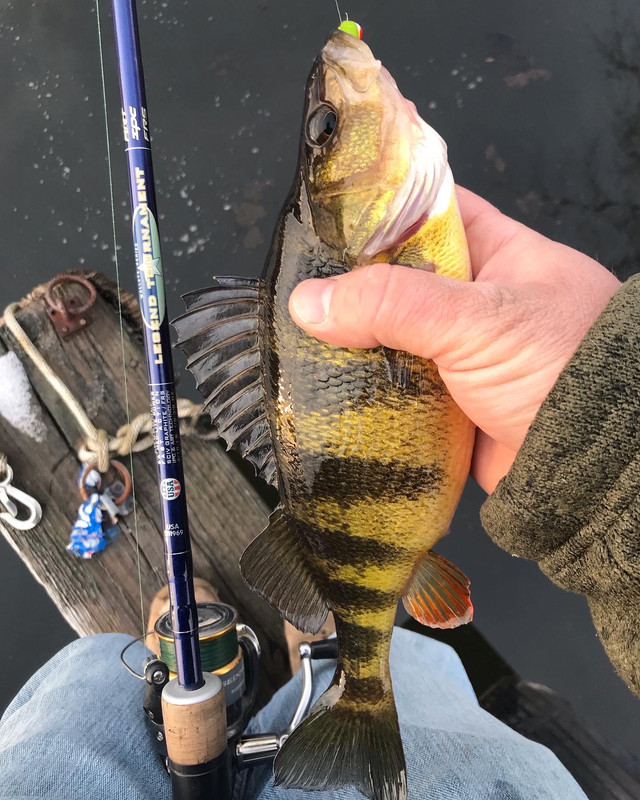 C26A40BC-593B-4B42-93A8-1F785D6C74E6