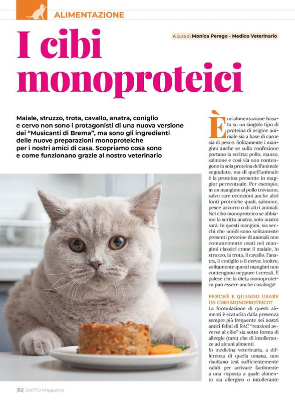 Ga Ma Ago-Set 2023 (9)