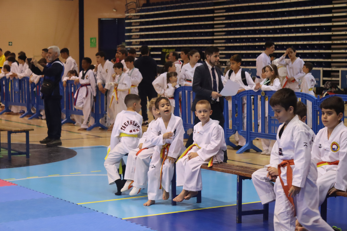 IMG-8519