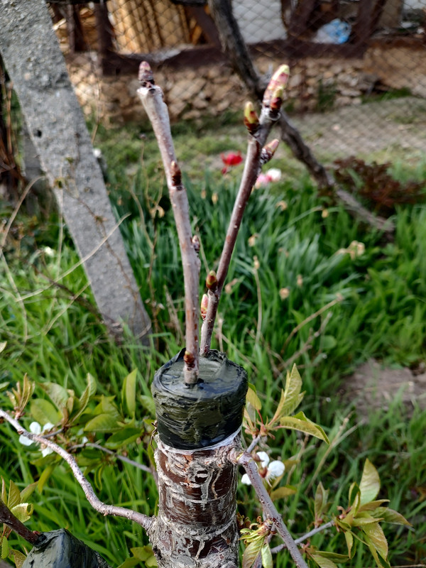 IMG_20230422_182651683_HDR