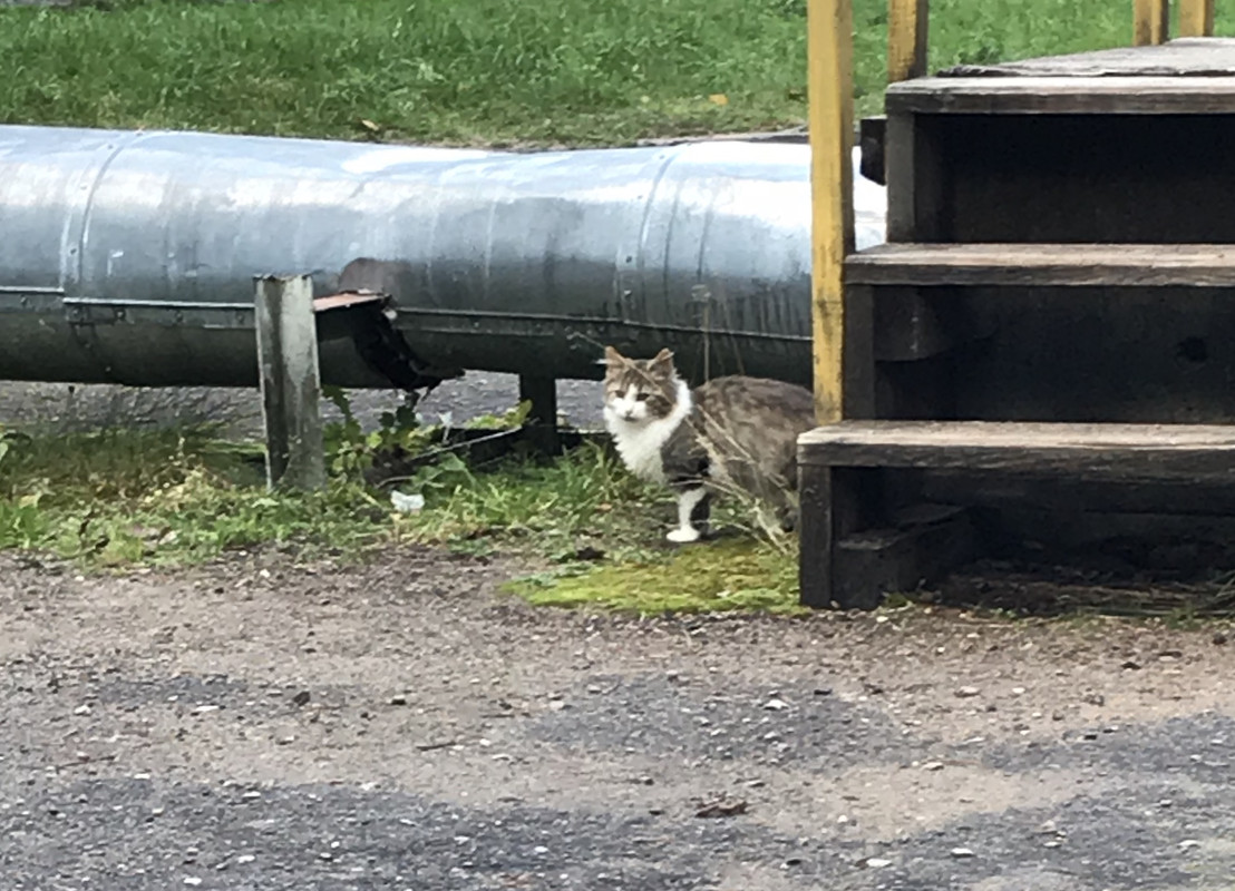 13ADC066-0B46-44B5-8607-29B18CB4AA82