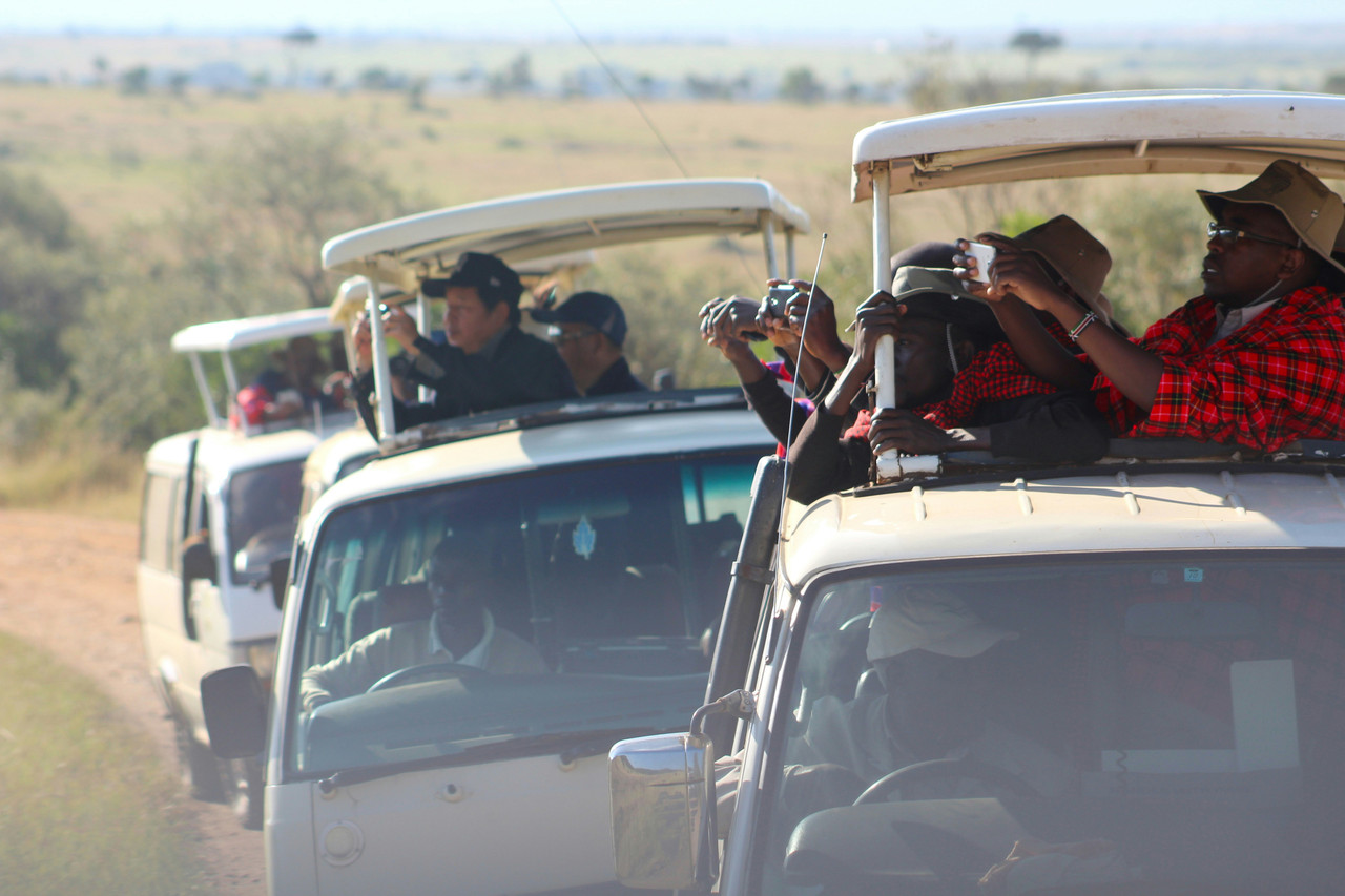 Maasai Mara wildlife safari experience in Kenya