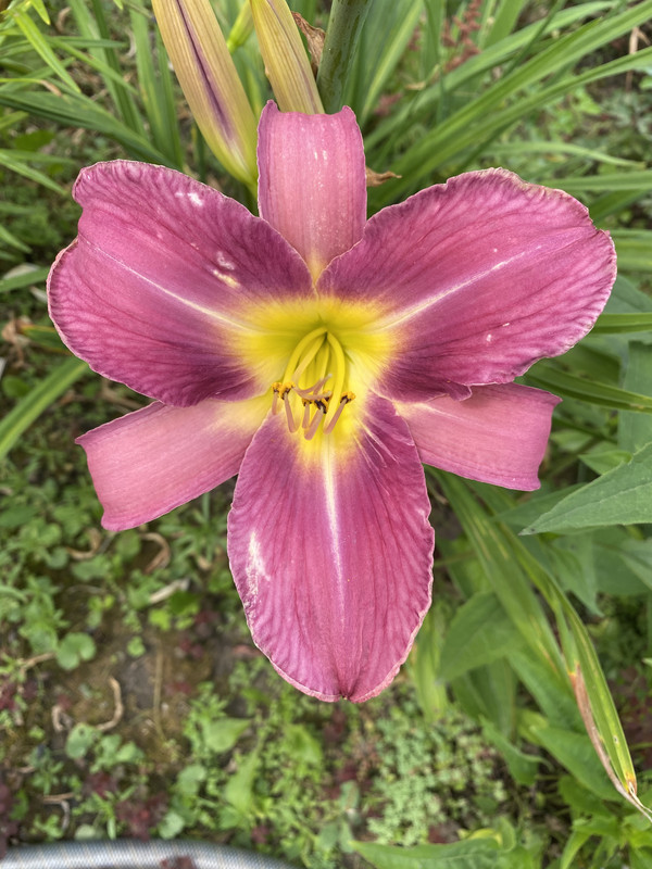 1F21B178-CC60-4640-AD2F-85AAF3B4BB47