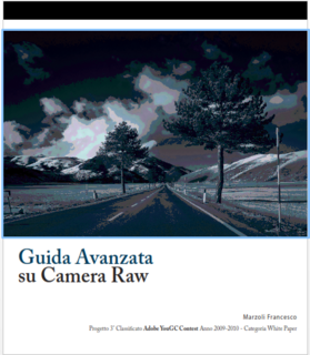 Francesco Marzoli - Guida avanzata Camera Raw (2010)