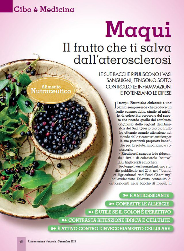 Alim Nat Set 2023 (9)