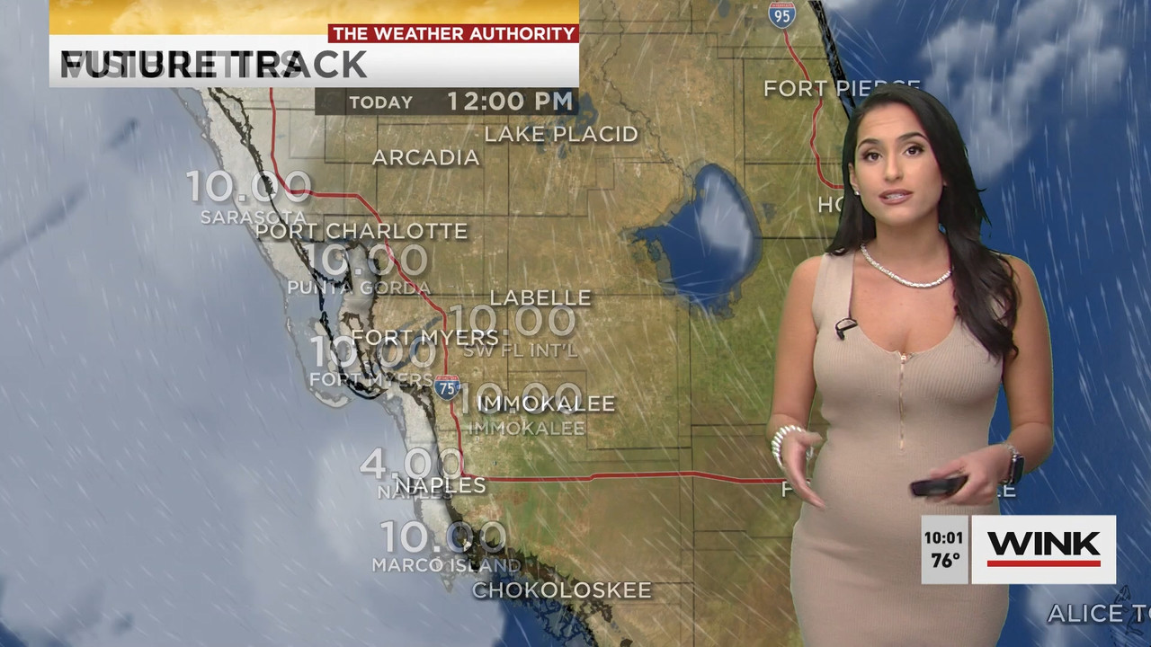 02.09 - 15.00.00 - WINK News at 10 00 a.m..ts_snapshot_00.02.12.488