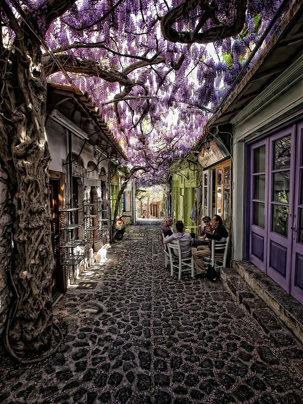 purplelesvosgreece.jpg