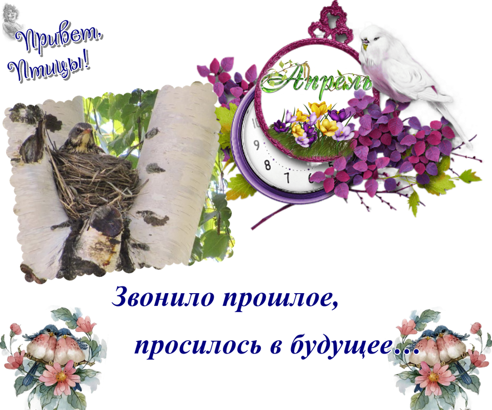 https://i.postimg.cc/XYXQnZ9D/30-04.png