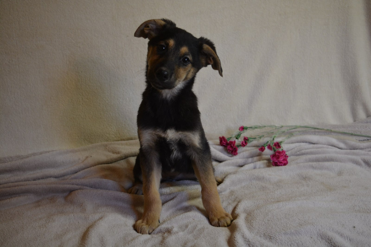 21-51-28-oRfVkC6EXfw