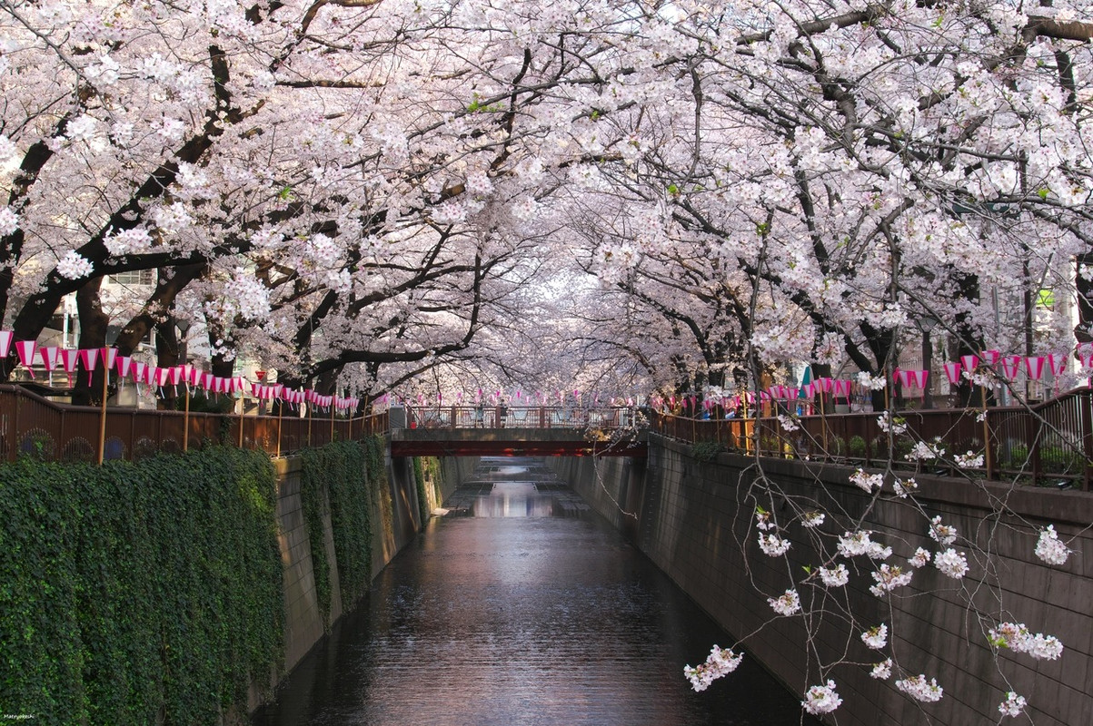 tumblr-p6g9xl-Z3721s1hrbso1-1280
