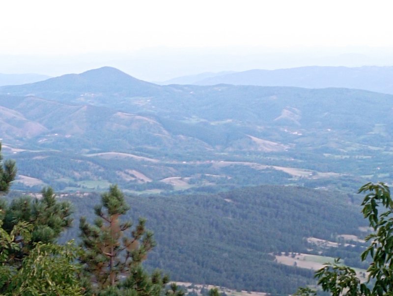 Slika