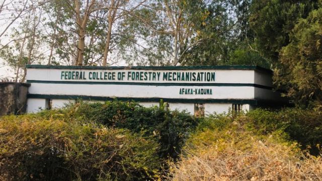 Federal-College-of-Forestry-Mechanization-Kaduna