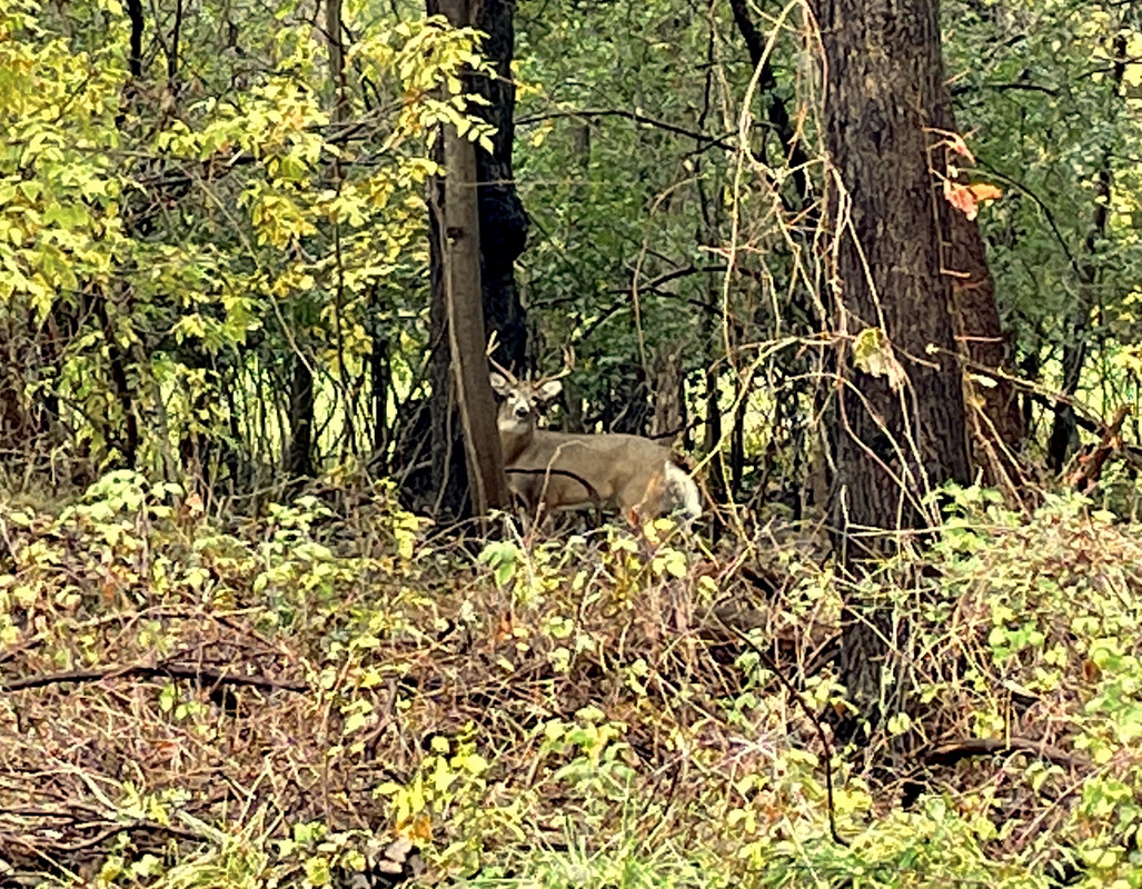 14003897-4676-404D-8CA1-80ADC0B3A1F2