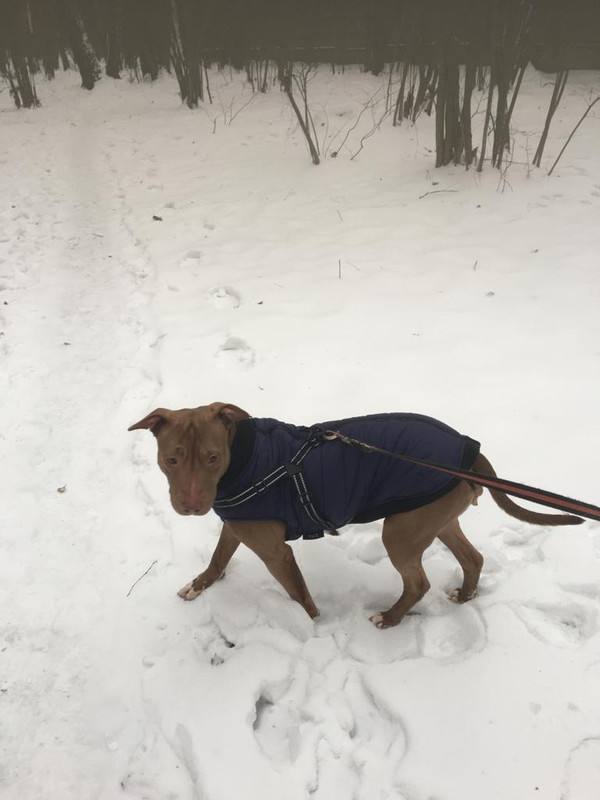 9106FB56-DE91-474F-8C18-8BADFB81DBBB