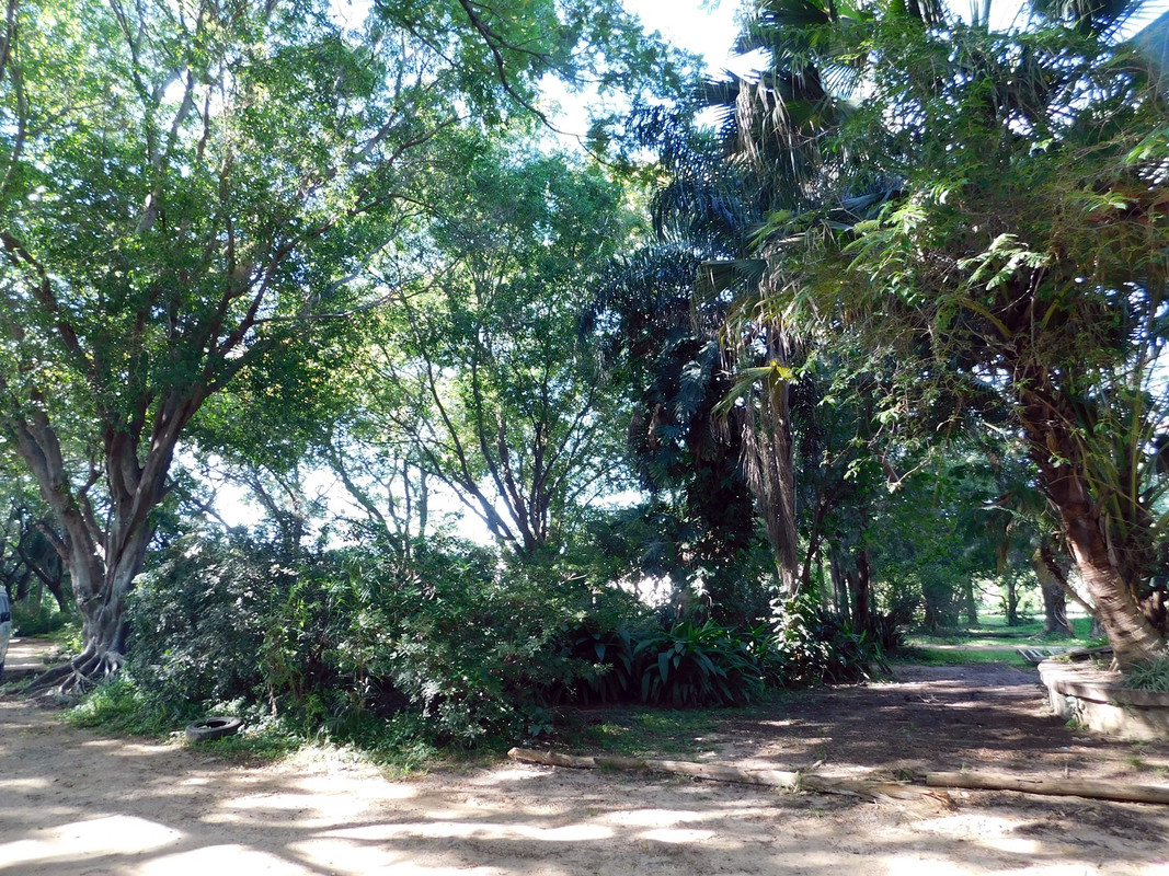 DSCN5672.jpg