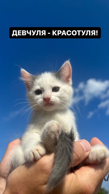 7F30AF7F-D062-4449-BE0C-4A90951D6D0D