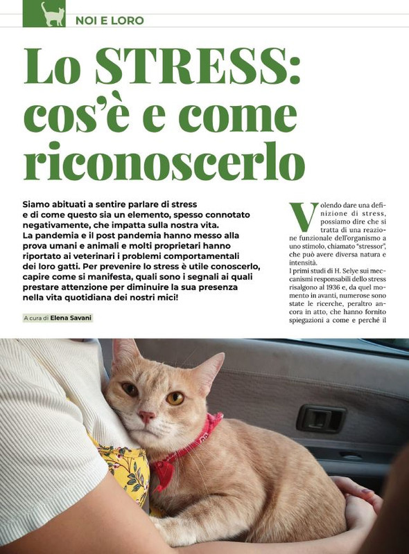 Ga Ma Ago-Set 2022 (1)