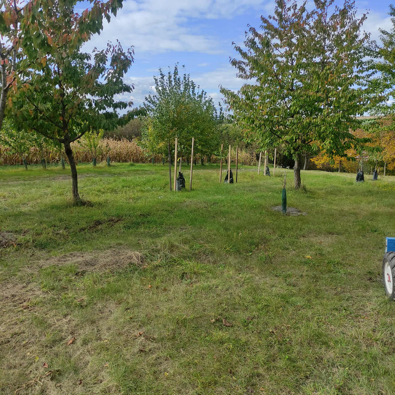 564161696_1566377894516132_3099752558642990432_n