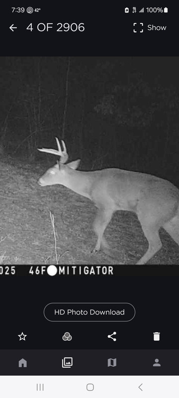 Screenshot_20250213_073904