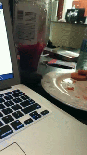 daily-gifdump-3345-28.gif