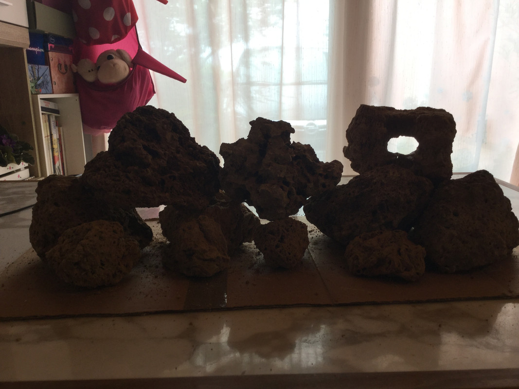 ED86CF10-084B-4799-8158-805683224B26