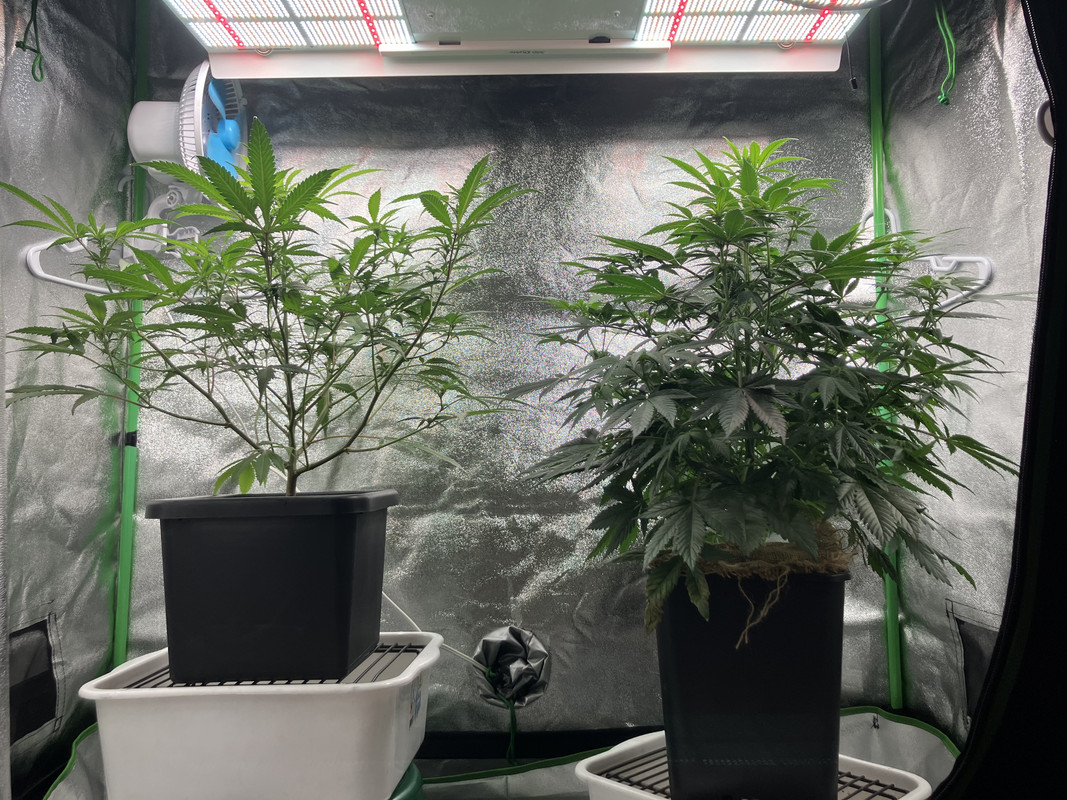 AF6990D2-8447-417B-A684-64599AAE736F