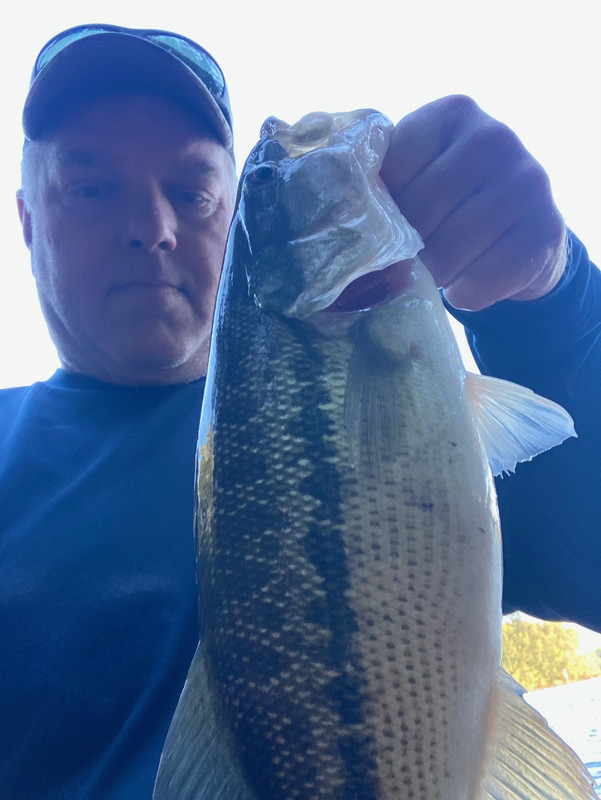 64104362474__9EBF9BD4-5F27-4B89-B27D-66115D5C13F8