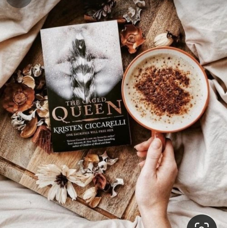 Screenshot_20240203_194219_Pinterest