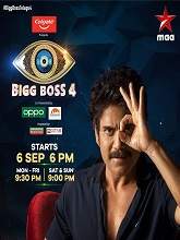 Bigg Boss (2020) HDRip Telugu Full Movie Watch Online Free MovieRulz