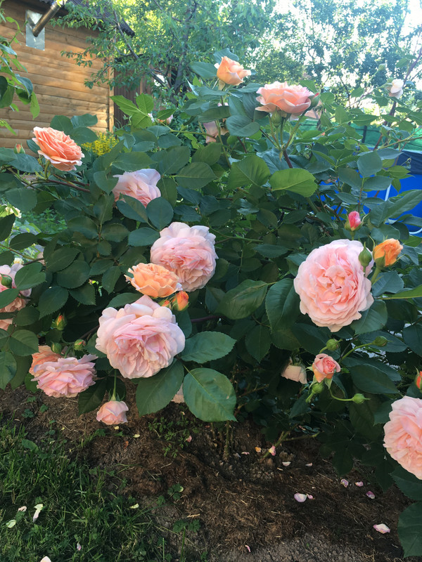 9642D8EC-E847-4C93-ACD6-174926EDFBCD