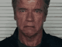 arnold-schwarzenegger-terminator.gif
