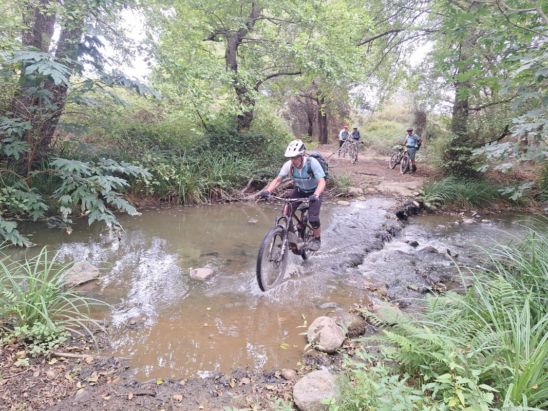 IMG-20251009-WA0014