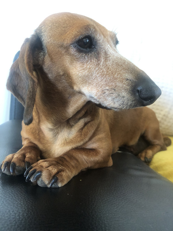 [Image: IMG-3458.jpg]