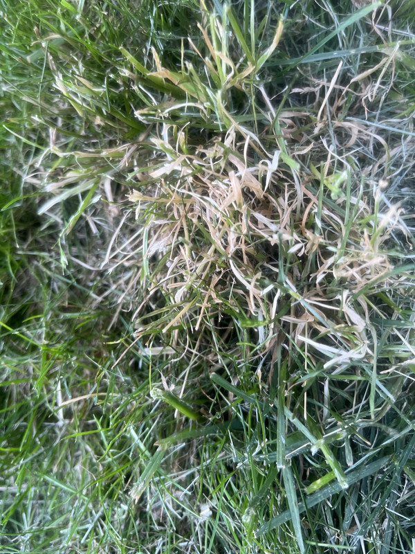 FB1CC5C3-730B-4DEA-A32C-75D1BA242DD9