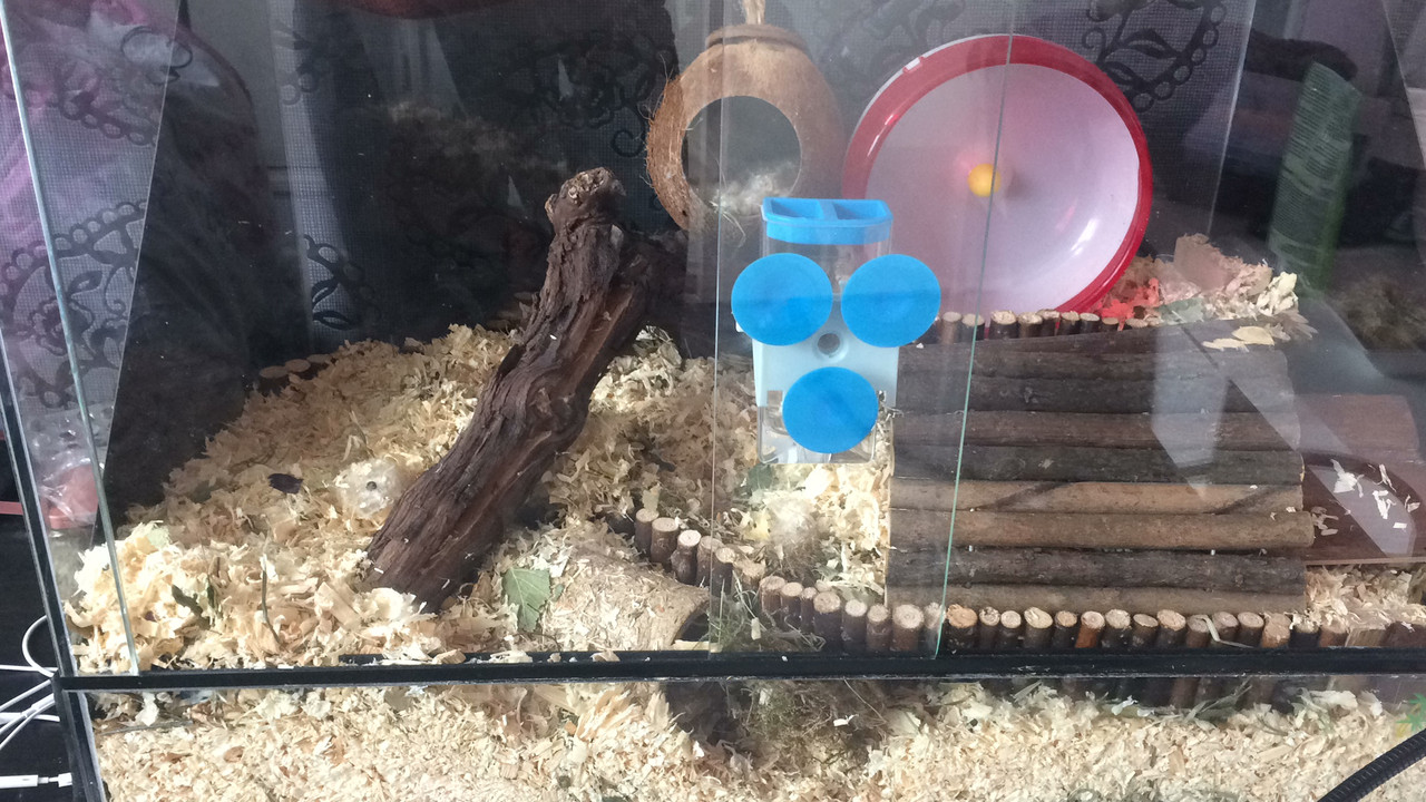 063945A0-7E53-4629-8C1C-9079090E3987